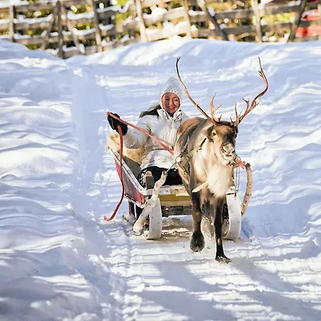 Nordic Lights Loft - Cozy In The Centrum Ροβανιέμι