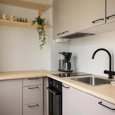 Apartment Nordic Lights Loft - Cozy In The Centrum