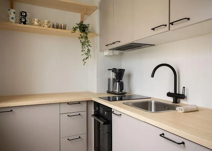 Nordic Lights Loft - Cozy In The Centrum 公寓 罗瓦涅米