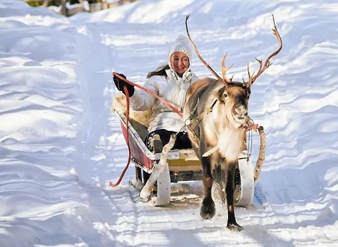 Nordic Lights Loft - Cozy In The Centrum רובניימי